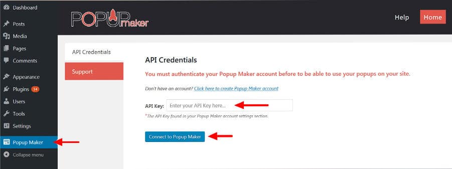 WordPress Popup Plugin API Credentials